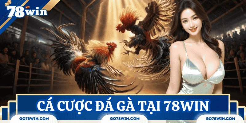 cá cược đá gà online qua nền tảng uy tín 78Win