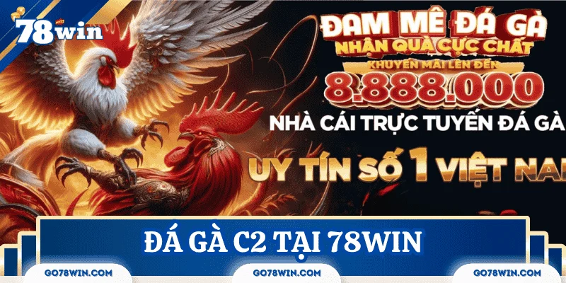 Đá gà C2 tại 78Win - Thế giới giải trí thực chiến