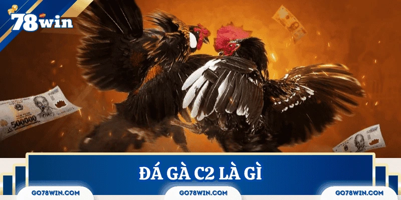 Đôi nét về hình thức đá gà C2 là gì