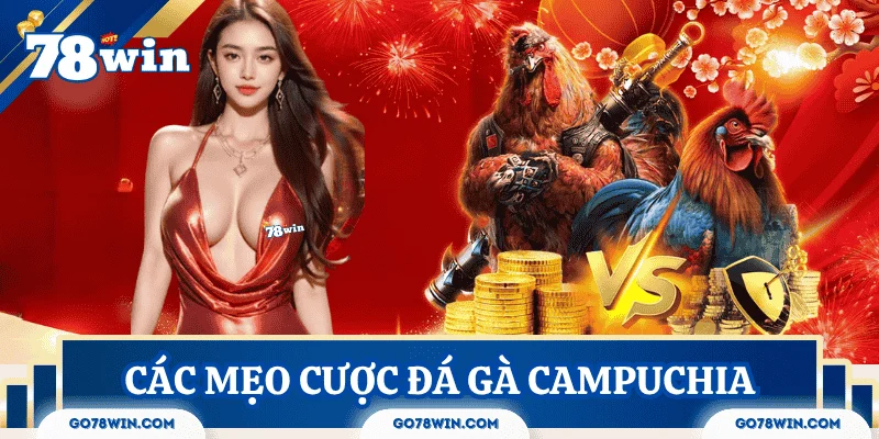 da-ga-campuchia-meo-ca-cuoc