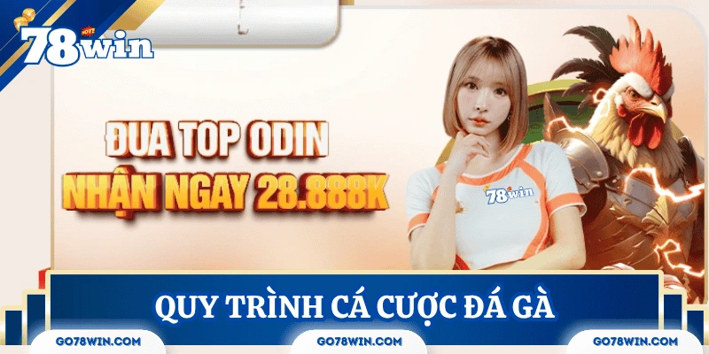 Quy trình cá cược đá gà trực tiếp tại 78Win