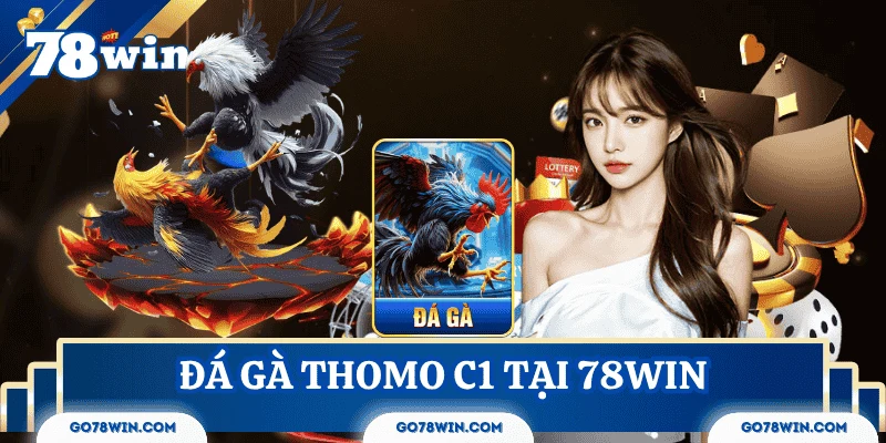 Trải Nghiệm Đá Gà Thomo C1 – Cược Thật, Hồi Hộp Thật Tại 78Win