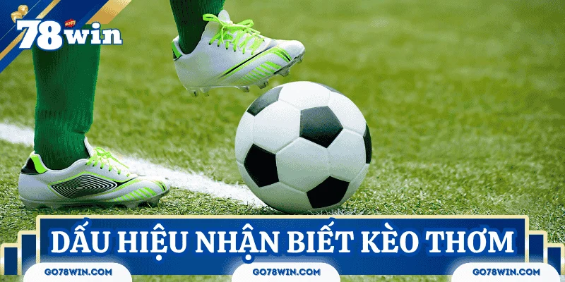Cách nhận biết đâu là kèo thơm bóng đá