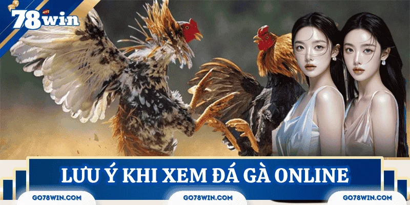 Những lưu ý khi xem trực tiếp đá gà online