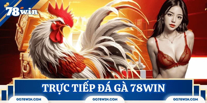 Xem trực tiếp đá gà mọi lúc mọi nơi tại 78Win uy tín