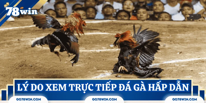 yeu-to-khien-truc-tiep-da-ga-hap-dan